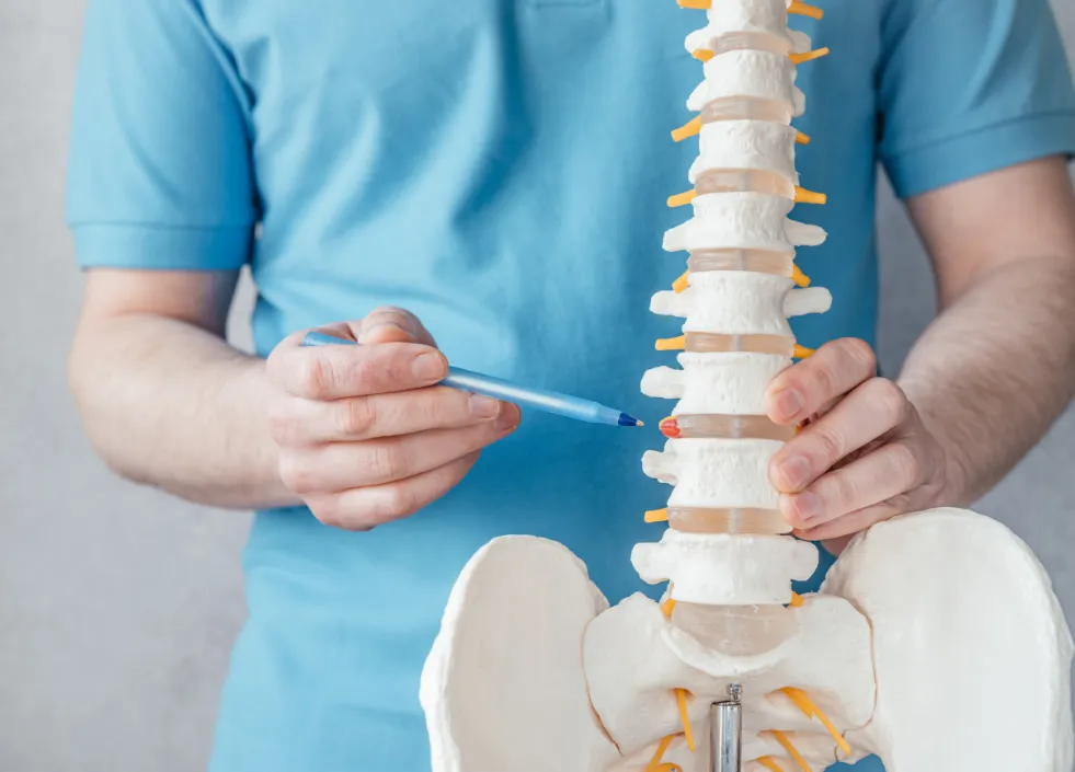 骨模型を使って説明をする男性