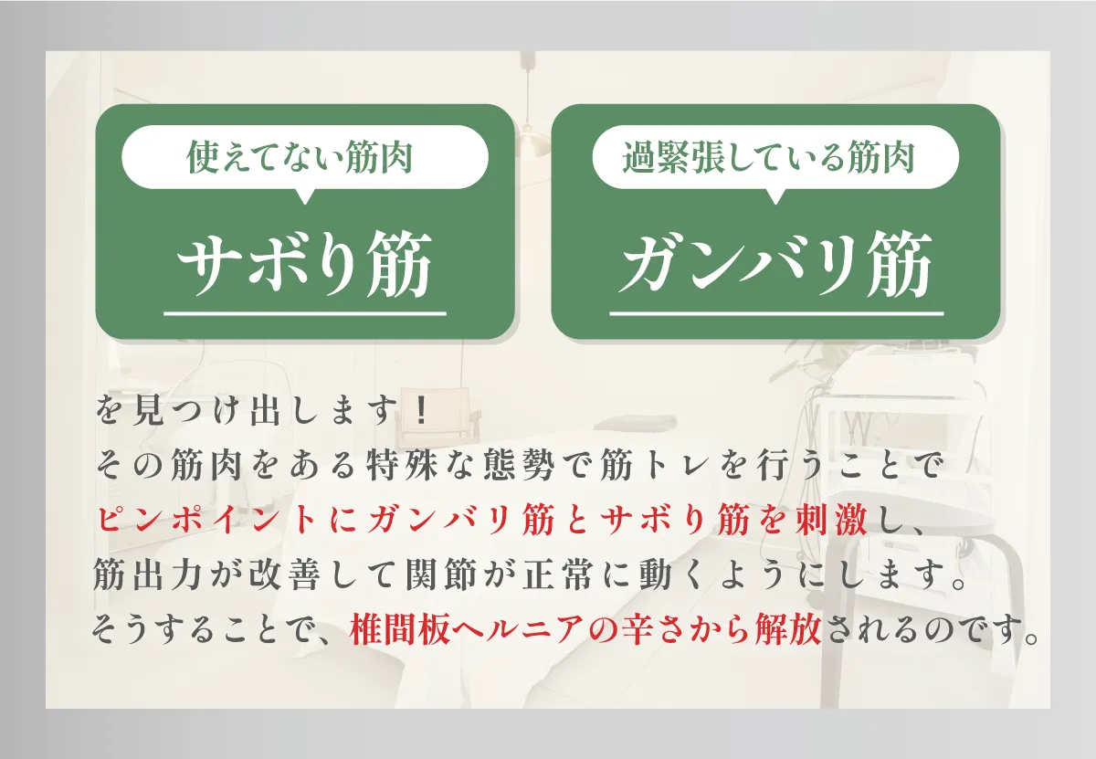 SPヘルニアバナー